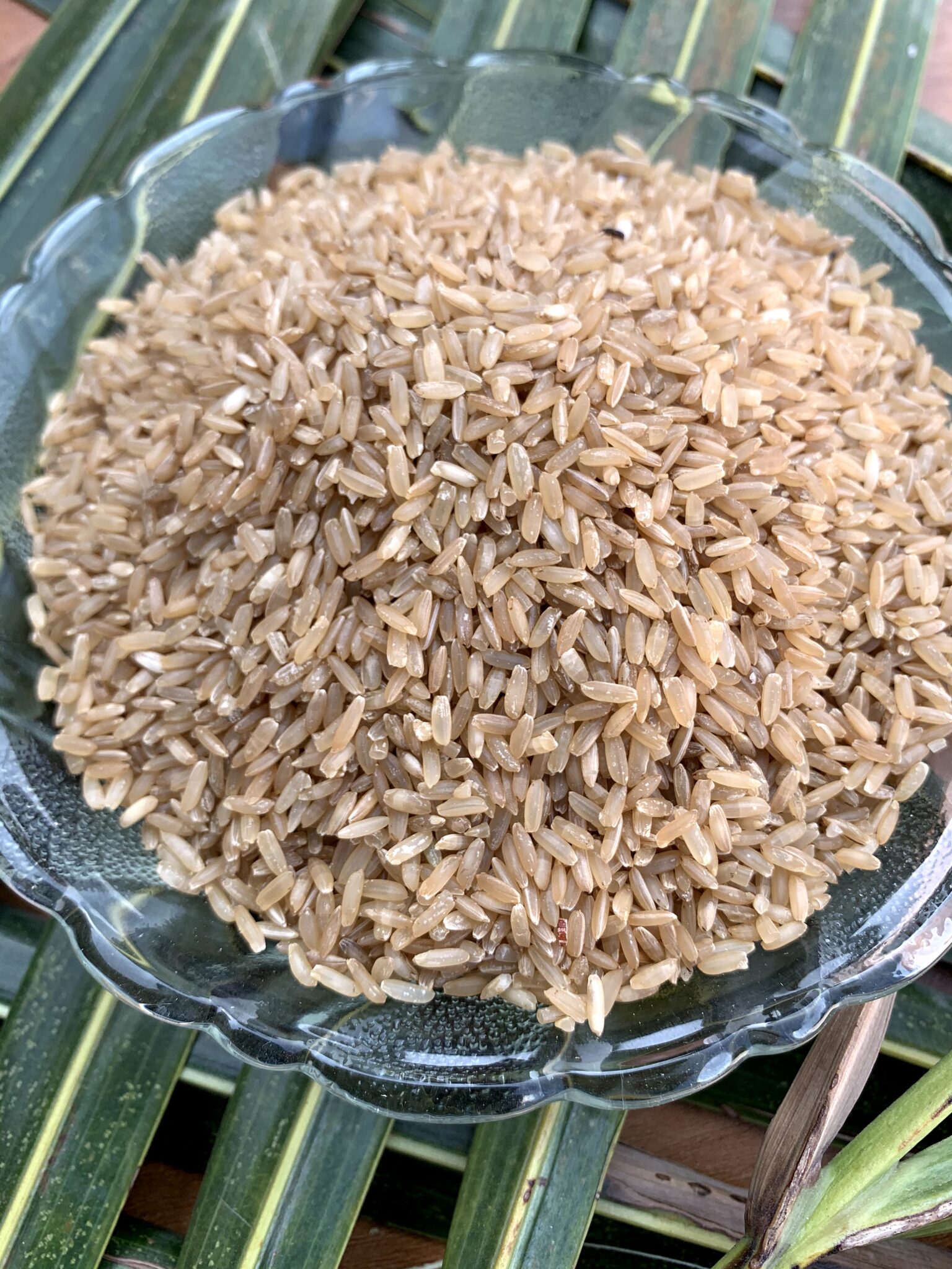 Ponni Rice - Sprout Activated Hand Pounded Brown Rice ORGANIC ...