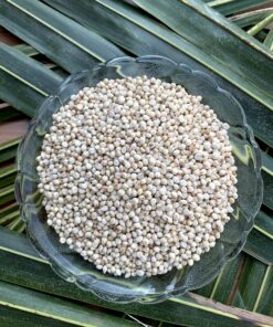 Jowar Mathaapu (500 G)