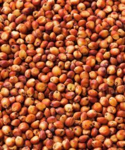 Jowar Red (1/2Kg) ORGANIC