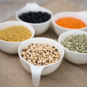 Lentils & Pulses (Sprout Activated)