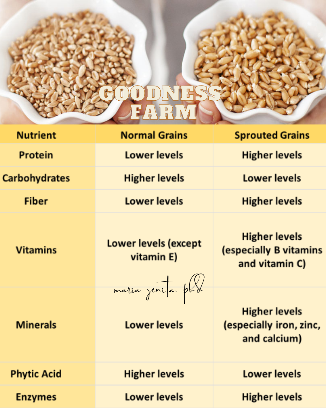 sprouted-grains-vs-normal-grains-a-nutritional-breakdown-goodness-farm