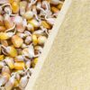 Sprouted Maize Flour (500 G)