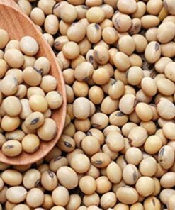 Soya Beans (500 G)