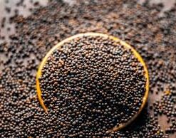 Mustard Seeds Organic (100 g)