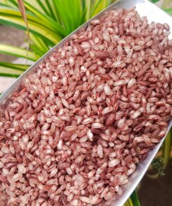 Maapillai Samba Red Rice Sprout Activated Parboiled (1 Kg)