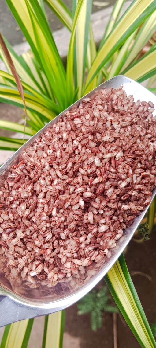 Maapillai Samba Rice 1 kg (sprout activated, parboiled) ORGANIC