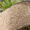 Ilupai Poo Samba Rice 1 kg (sprout activated, parboiled) ORGANIC