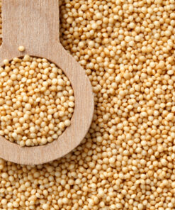Amaranth Sprout Activated (500 G)