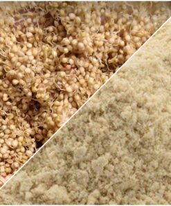 Amaranth Sprouted Flour (Organic) 500 g