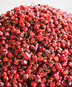 Ramnadu Gundu Chilli (100 G)