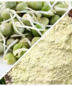 Sprouted Green Peas Flour, Organic (500 g)