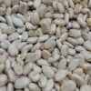 Castor Seeds- Sprouted and Deskinned, Organic (25 G)