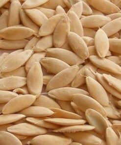 Cucumber Seeds Sprout Activated (100 G)